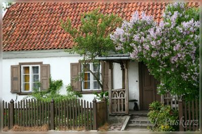 Kliknij aby zobaczyć pełny rozmiar