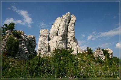 Kliknij aby zobaczyć pełny rozmiar
