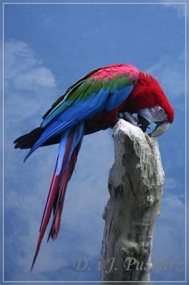 Kliknij aby zobaczyć pełny rozmiar