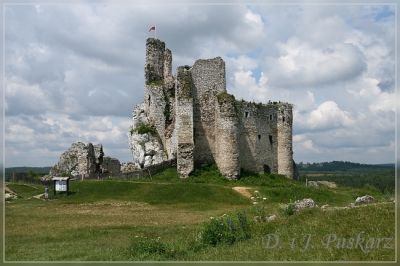 Kliknij aby zobaczyć pełny rozmiar