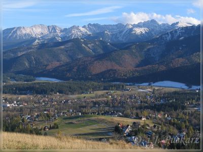 Kliknij aby zobaczyć pełny rozmiar