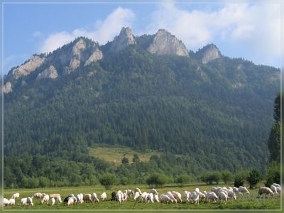 Kliknij aby zobaczyć pełny rozmiar