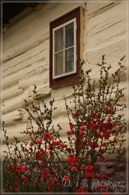 Kliknij aby zobaczyć pełny rozmiar