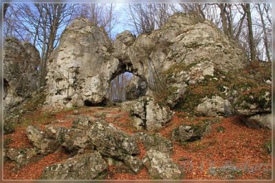 Kliknij aby zobaczyć pełny rozmiar